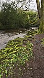 Countryside walk from South Brent
