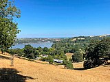 Dittisham