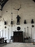 Cotehele Walk