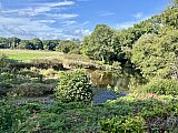 Stover Circular